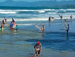 Antusias Warga Sukabumi, Panen Impun di Pantai Citepus