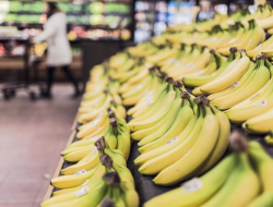 Dampak Bahaya Makan Pisang Karbitan, Jangan Disepelekan Loh!