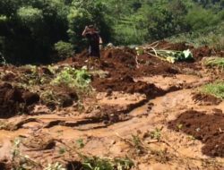 Di Nagrak, Puluhan Petak Sawah Tertimbun Oleh Material Longsor