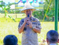 Agar Stock Beras Aman Jelang Ramadhan dan Idul fitri,  Bupati Iksan Iskandar Gelar Panen Raya Padi